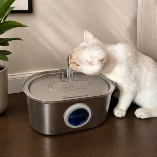 Pawira Cat Water Fountain (Official Retailer) [year]