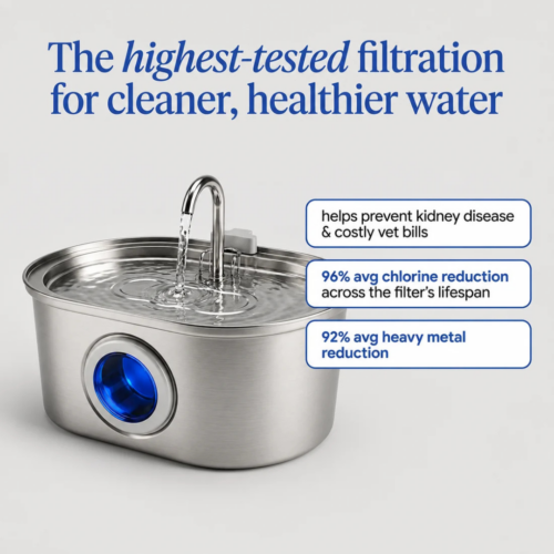 Pawira Cat Water Fountain (Official Retailer) [year]