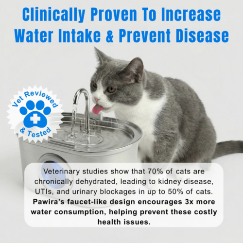 Pawira Cat Water Fountain (Official Retailer) [year]
